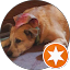Becky Harmon Avatar